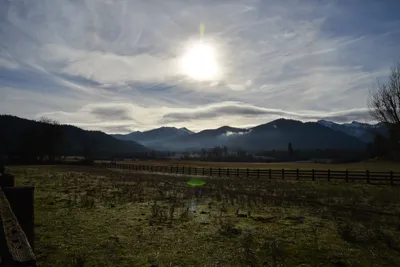 DSC_5852 (Large).JPG